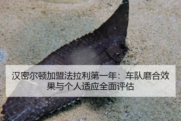 han-mi-er-dun-jia-meng-fa-la-li-di-yi-nian-che-dui-mo-he-xiao-guo-yu-ge-ren-shi-ying-quan-mian-ping-gu-2-567.jpg